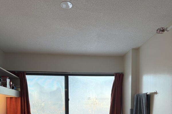 前上海白領潤到加拿大:有落差但不後悔