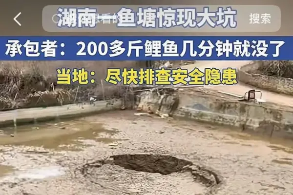 湖南一魚塘現大坑 200斤鯉魚幾分鐘全沒了