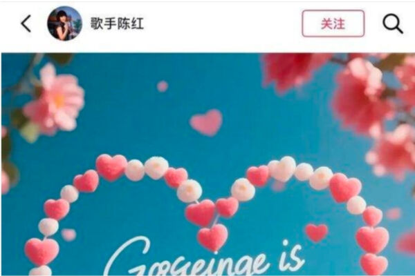 歌手陳紅被前夫實名舉報 涉轉移資產數十億元