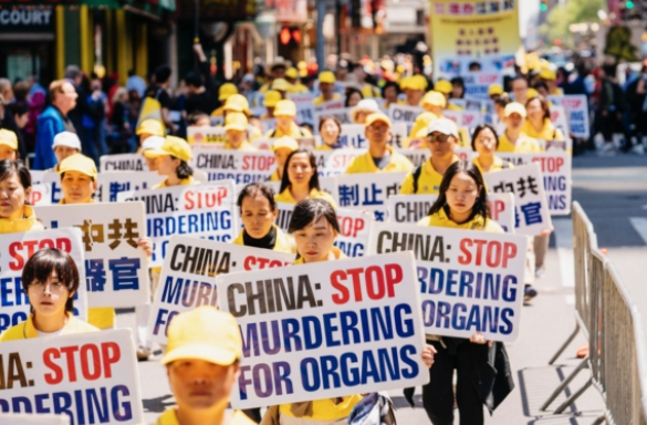 DAFOH研讨会 多国政要谴责中共活摘器官