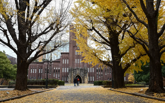 东京大学教授网页藏字「六四」遭停职 引热议