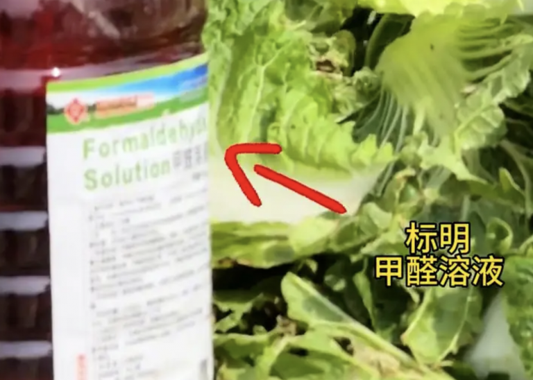 韓國進口泡菜99%中國產 河北毒白菜引恐慌