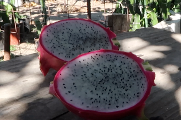 重慶水果大王身價蒸發百億 市值減損近90%