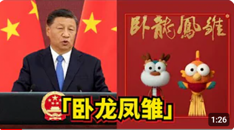 咱们主席所带领的国家队,到底是人才还是狗奴才?