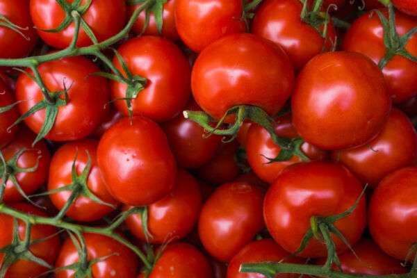 百年老字號:新疆進口損害意大利番茄「尊嚴」