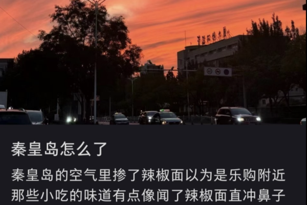 秦皇島居民紛紛咳嗽 空氣充滿辣椒麵味