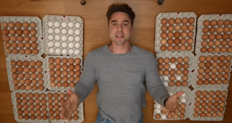 网红挑战1个月「狂吃900颗蛋」 胆固醇、肌肉量惊人变化曝