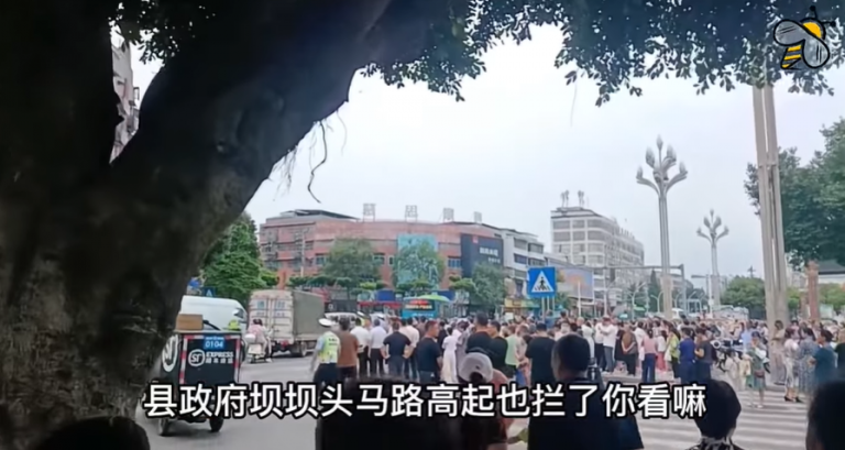 四川富顺华英小学臭猪肉事件后续(一):6月24日上午,富顺县联合调查组发布情况通报称:送检的猪肉“挥发性盐基氮指标(食材新鲜度评价指标)两次检验结果均未超出国家规定标准。”,目前,家长们已经把县政府门口的路堵了。