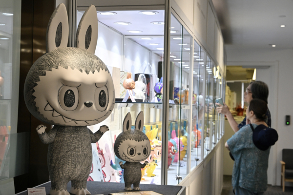 【翻牆必看】曾熱炒的Labubu隱藏款沒人接盤了