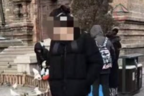 河北大學生幫人取「快遞」被判無期 引關注