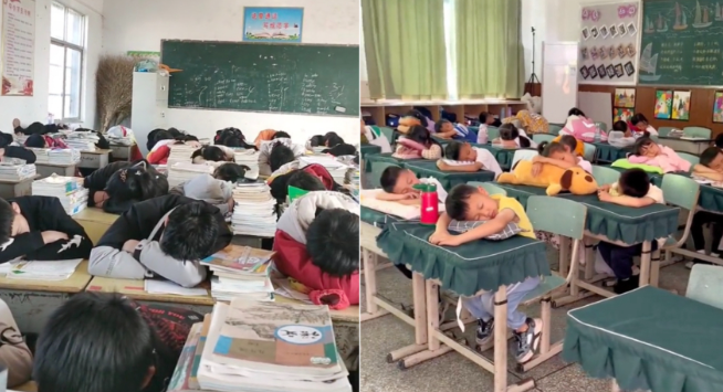 每人250元趴桌午睡?当「午休」变成收费项目——学校、家长与教育乱象的一堂课