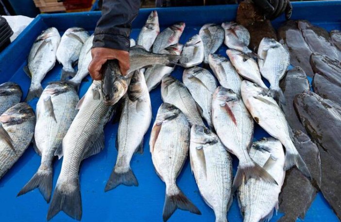 黑心保鲜手法曝光!中国「麻醉活鱼」靠工业酒精维持假新鲜:上桌前才让鱼醒过来