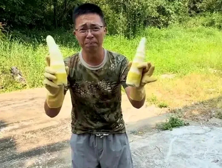除了白菜 竹笋也不能吃了中国传出「用硫磺熏制竹笋」二氧化硫残留超标20倍